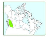 Blooms of British Columbia - Radical Roots Seed Bomb Company Inc.