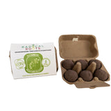 Eco Warrior - Radical Roots Seed Bomb Company Inc.