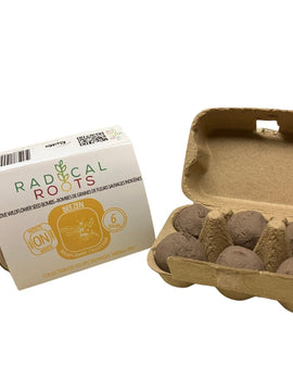 Light the Night - Firefly Habitat Seed Bombs